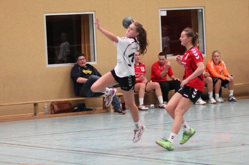 wA2  Spvg. Steinhagen  -  HSG Blomberg-Lippe
