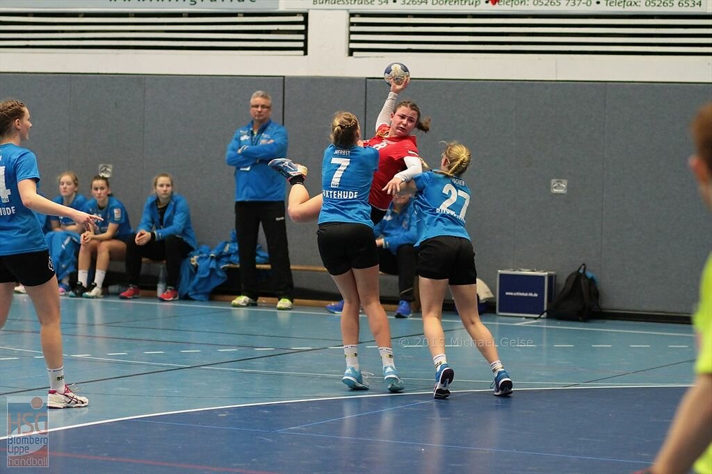 jblh  Buxtehuder SV  -  Frankfurter Handball-Club