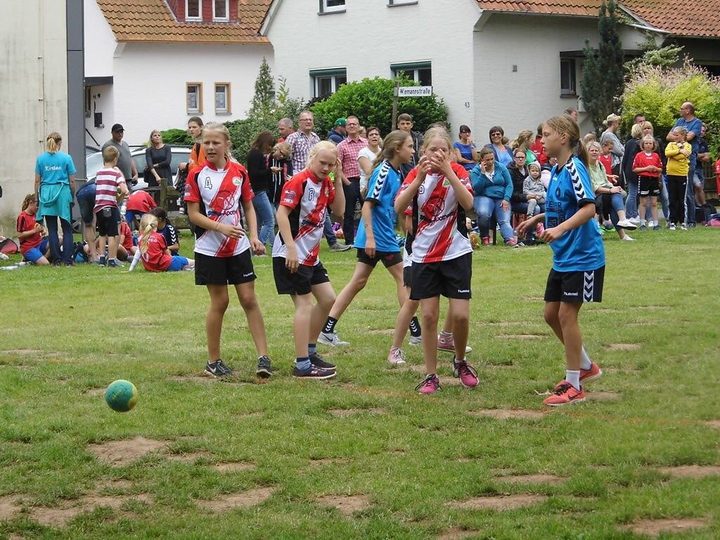 Weibliche D-Jugend - Rasenturnier TV Herrentrup