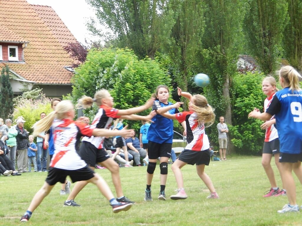 Weibliche D-Jugend - Rasenturnier TV Herrentrup