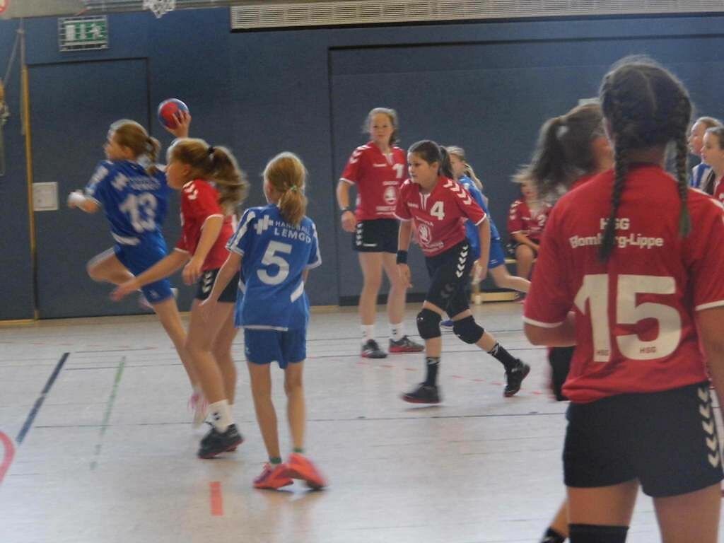 Handball Lemgo 2 . wD1 HSG Blomberg-Lippe