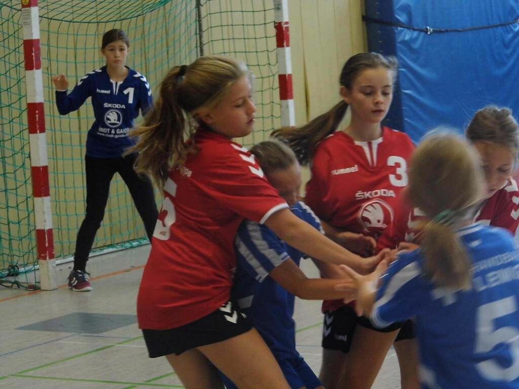 Handball Lemgo 2 . wD1 HSG Blomberg-Lippe