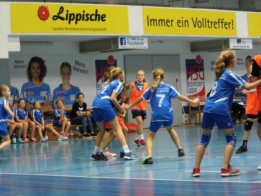 wD2 HSG Blomberg-Lippe - Handball Lemgo 2