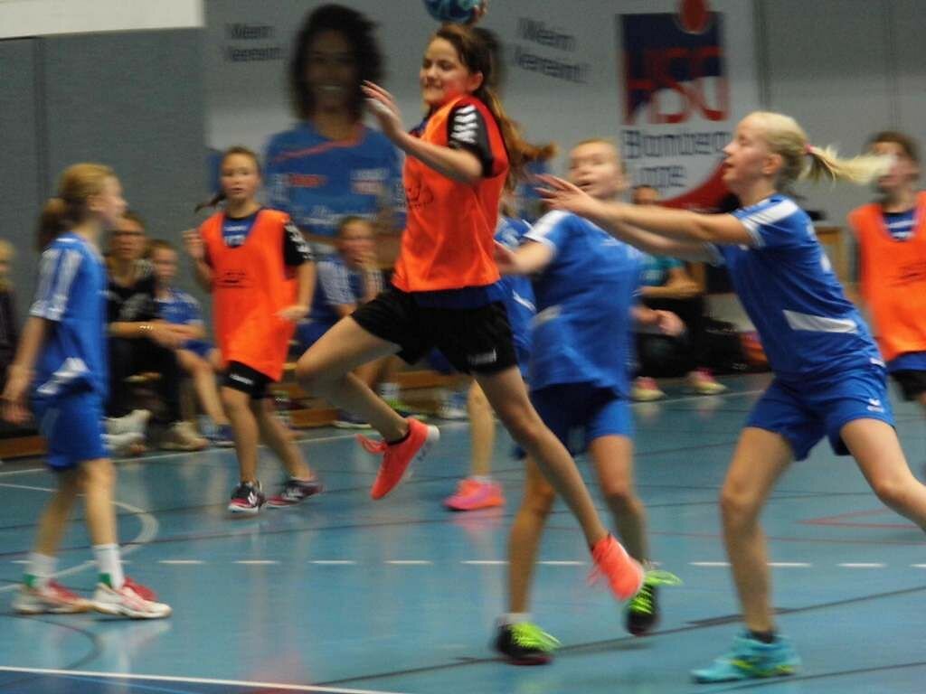 wD2 HSG Blomberg-Lippe - Handball Lemgo 2