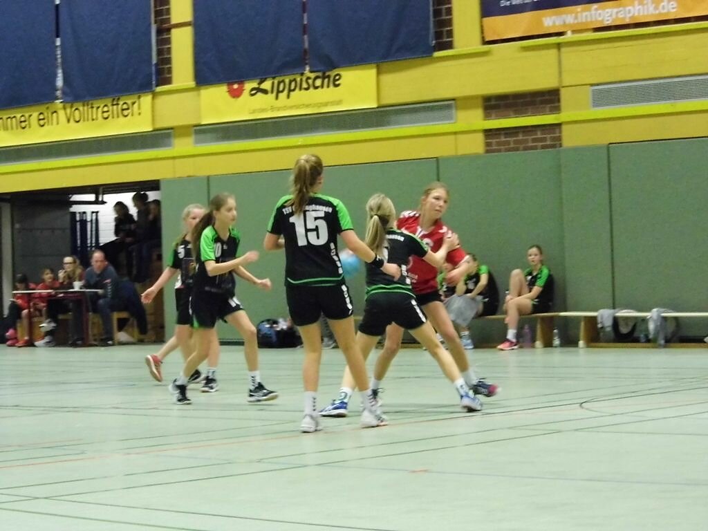 wD1 HSG Blomberg-Lippe - TSV Oerlinghausen