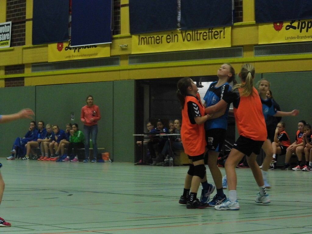 wD2 HSG Blomberg-Lippe - Handball Bad Salzuflen