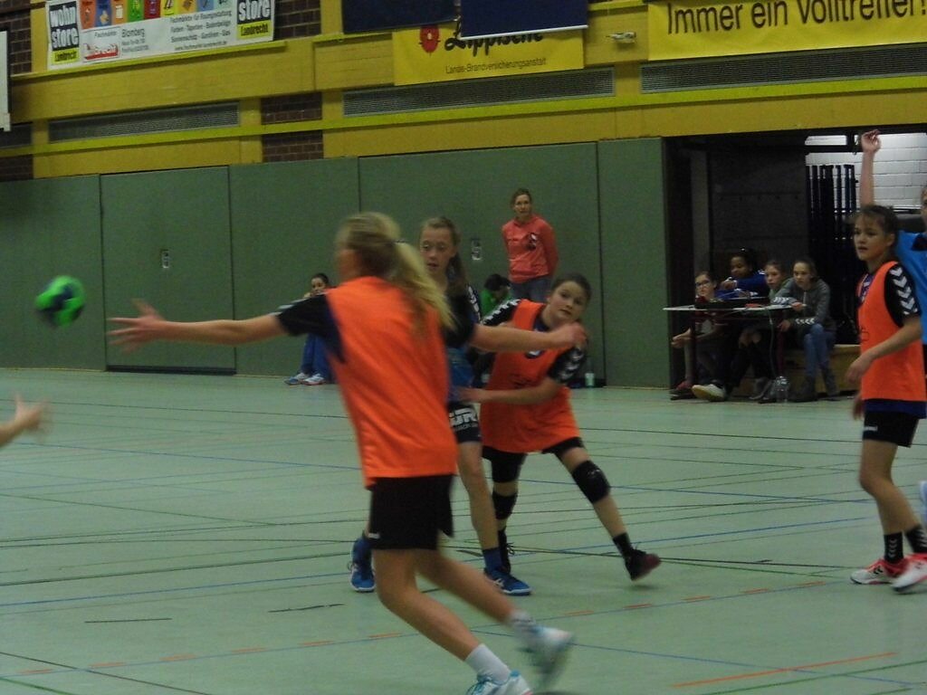 wD2 HSG Blomberg-Lippe - Handball Bad Salzuflen