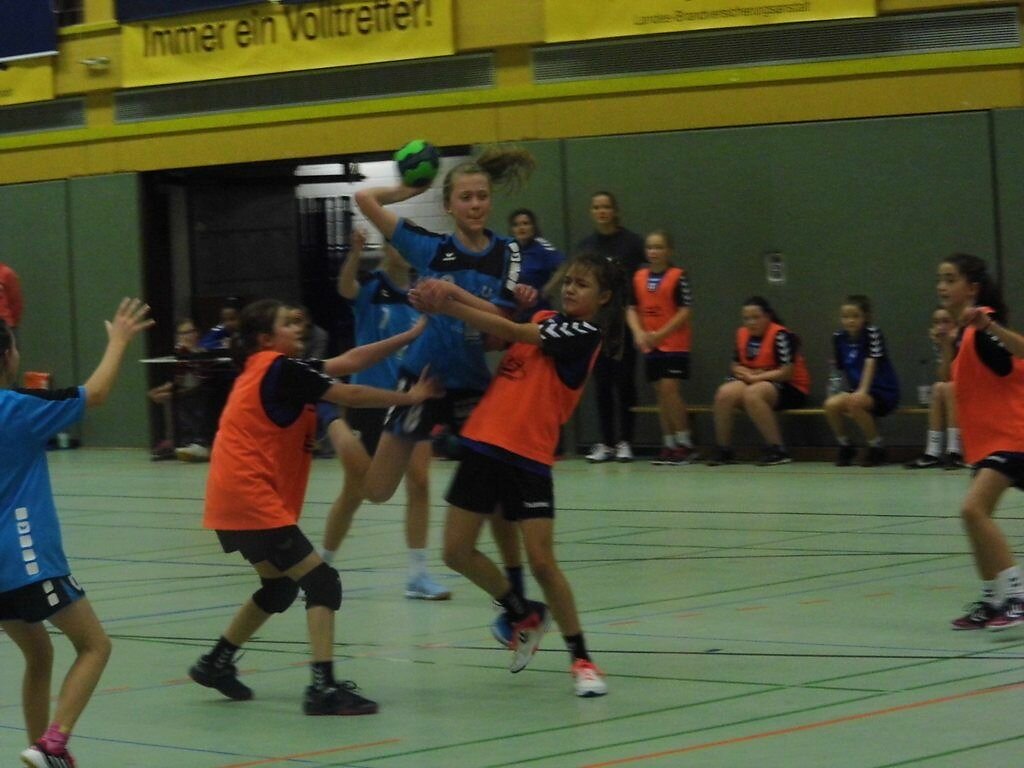 wD2 HSG Blomberg-Lippe - Handball Bad Salzuflen