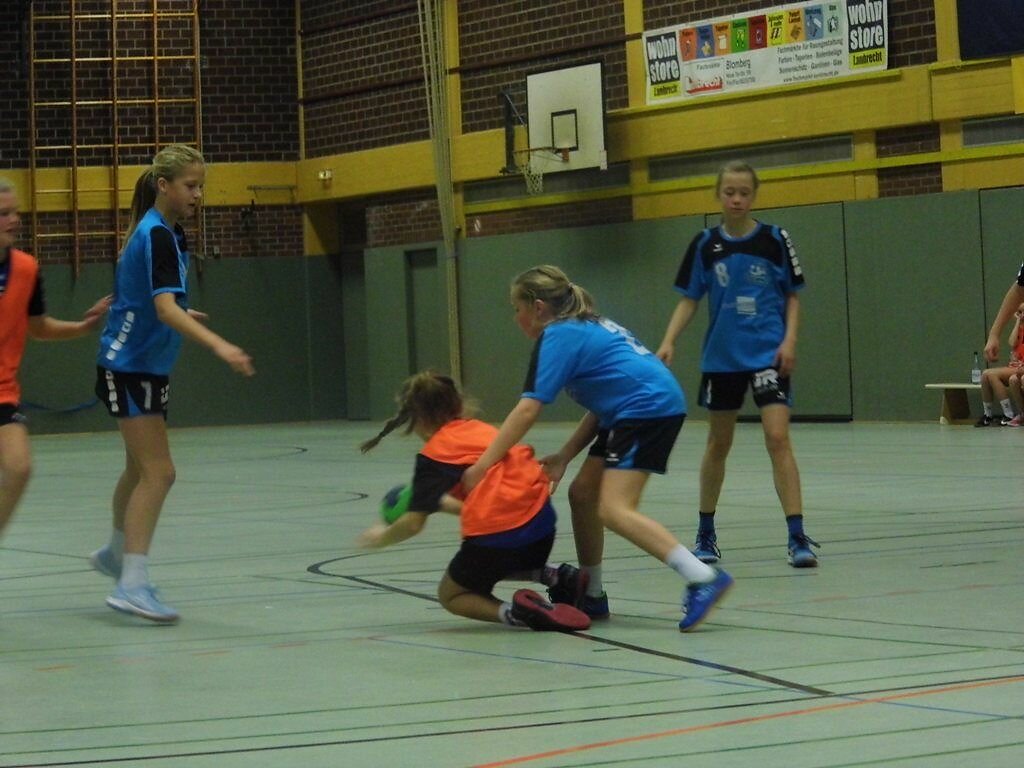 wD2 HSG Blomberg-Lippe - Handball Bad Salzuflen