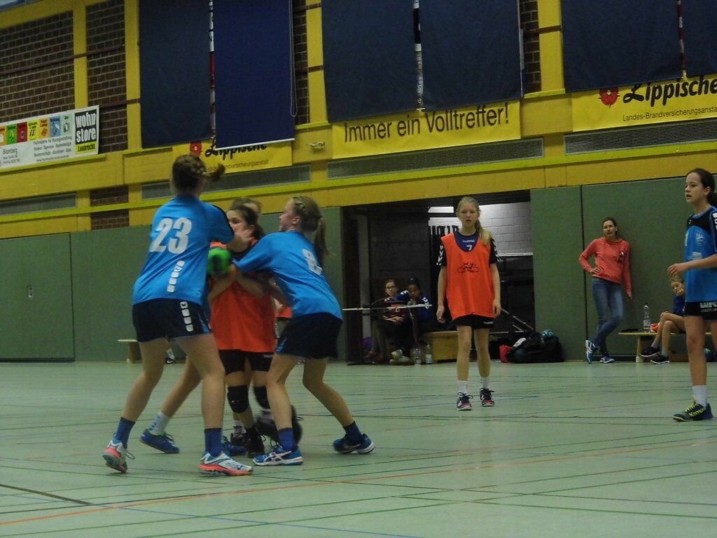 wD2 HSG Blomberg-Lippe - Handball Bad Salzuflen