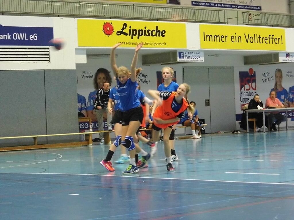 wD2 HSG Blomberg-Lippe - Handball Lemgo1