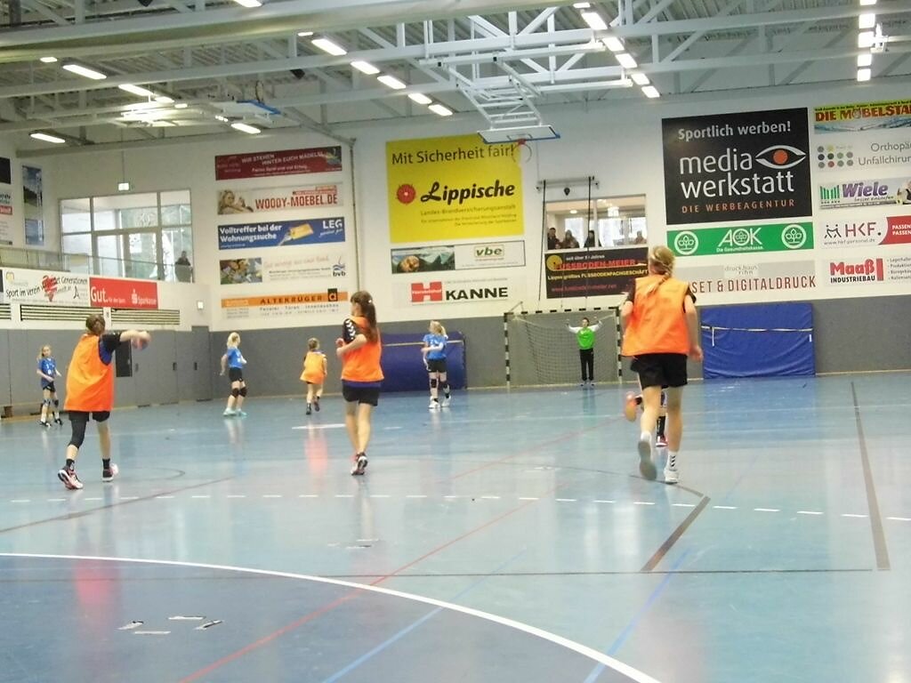 wD2 HSG Blomberg-Lippe - Handball Lemgo1