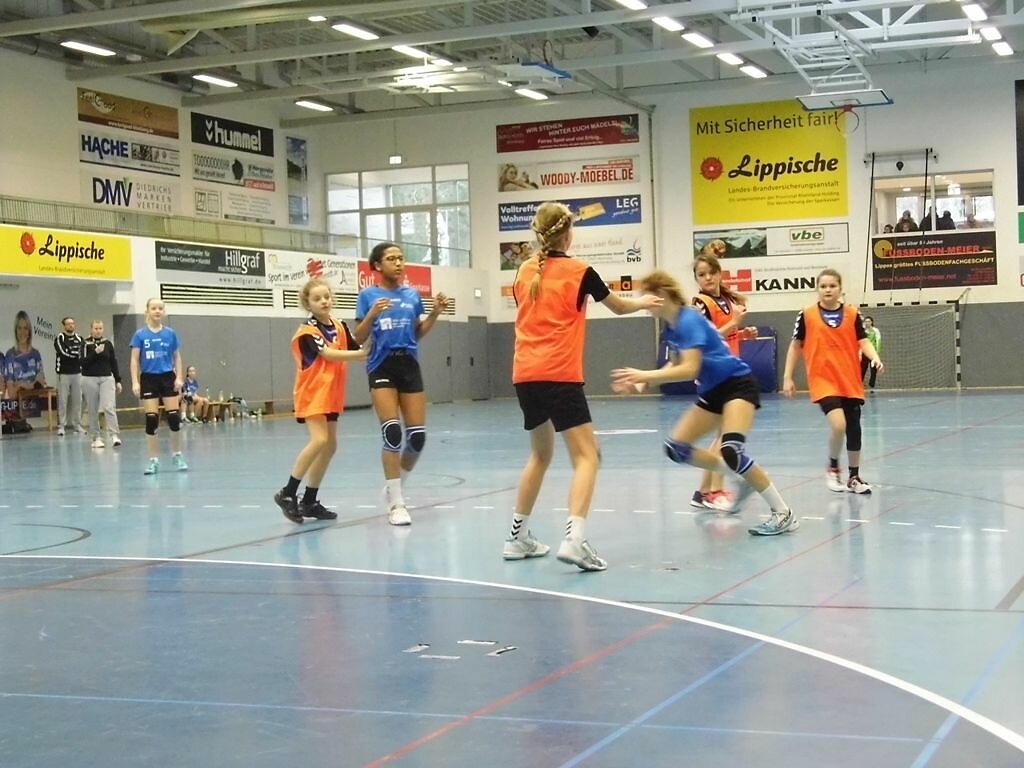 wD2 HSG Blomberg-Lippe - Handball Lemgo1