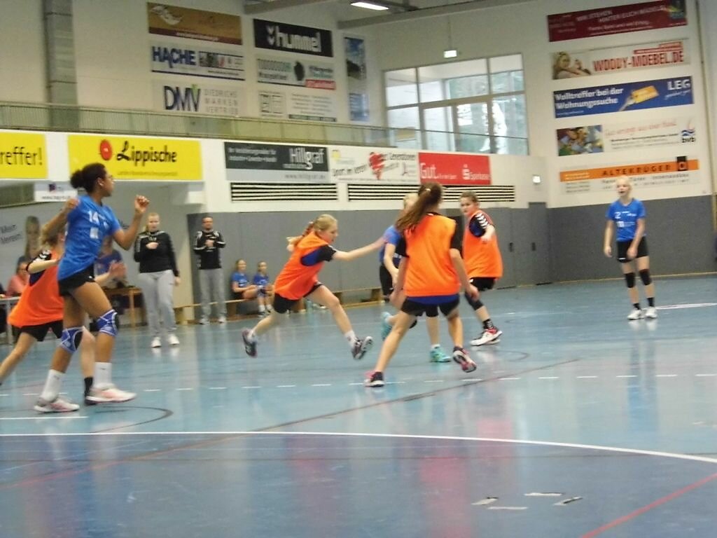 wD2 HSG Blomberg-Lippe - Handball Lemgo1