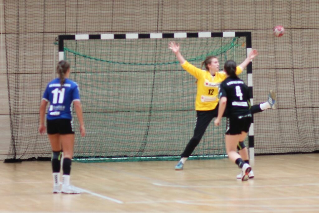 wA1 SV HAlle-Neustadt - HSG Blomberg-Lippe