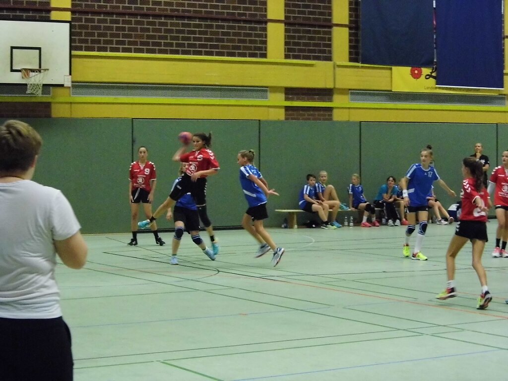 wD1 HSG Blomberg-Lippe - Handball Lemgo