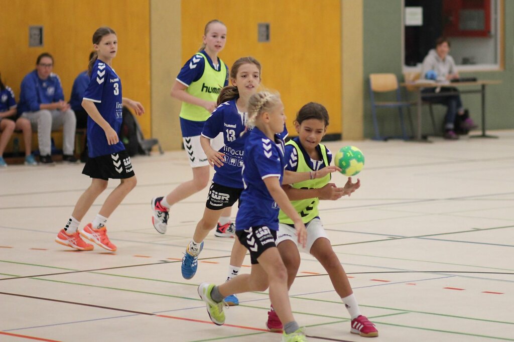 wE1 Handball Bad Salzuflen - HSG Blomberg-Lippe