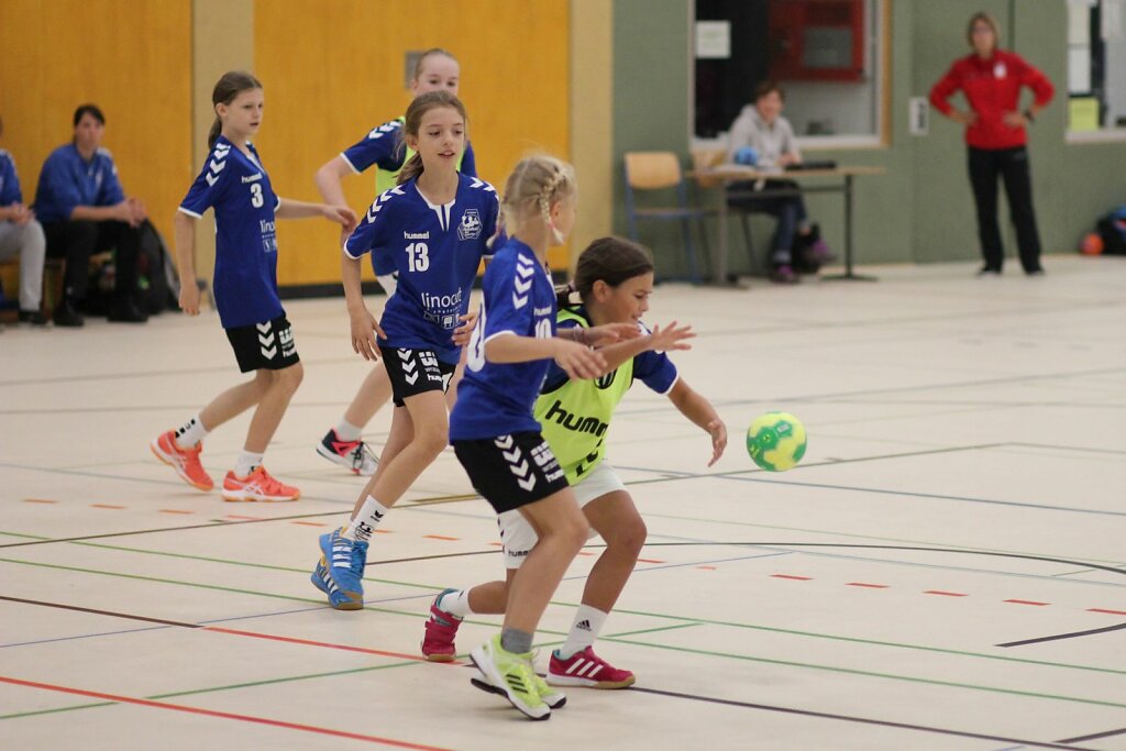 wE1 Handball Bad Salzuflen - HSG Blomberg-Lippe