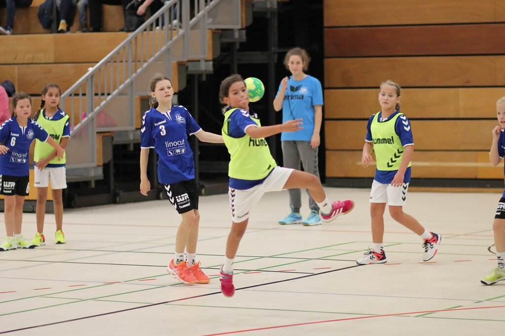 wE1 Handball Bad Salzuflen - HSG Blomberg-Lippe