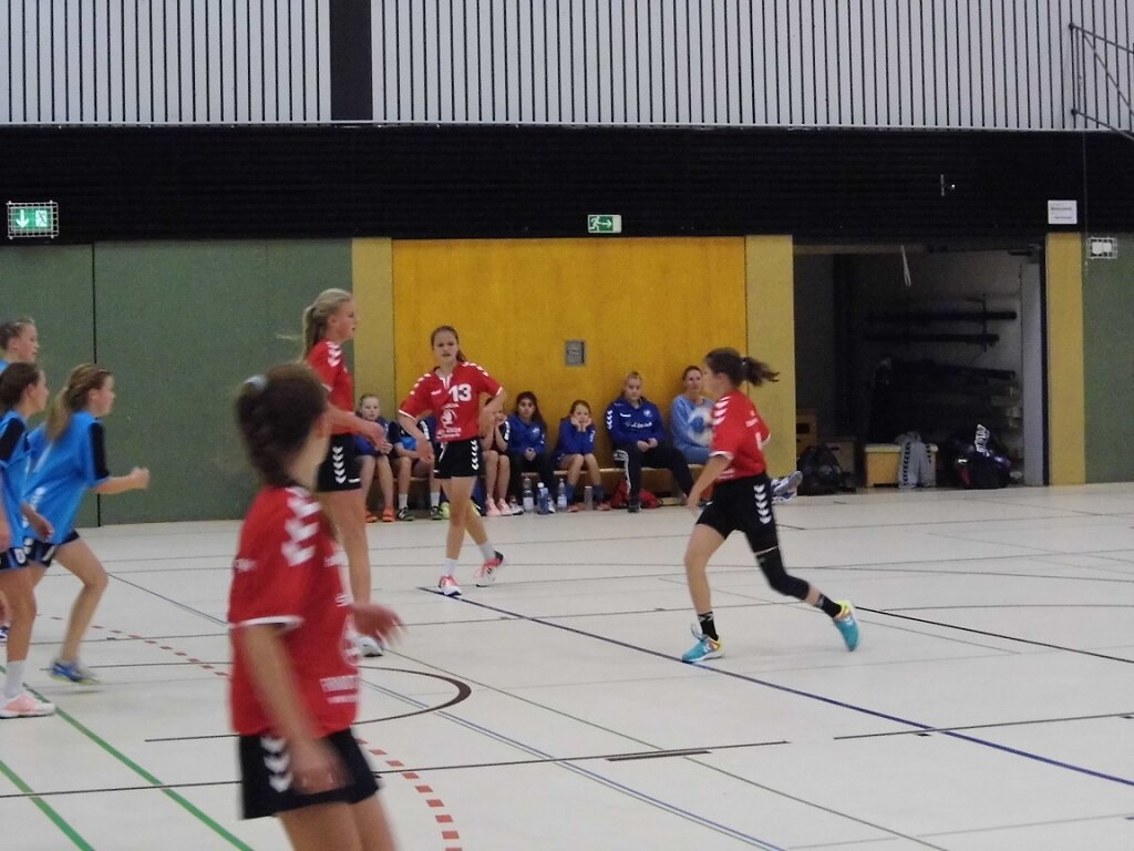 Handball Bad Salzuflen - wD1 HSG Blomberg-Lippe