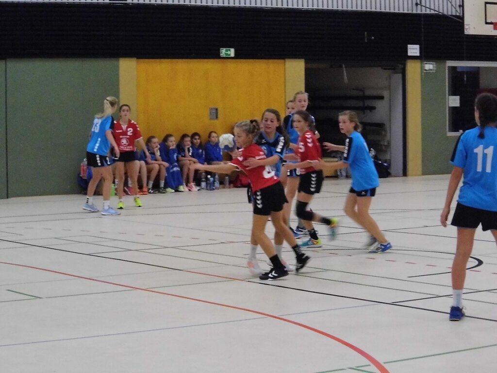 Handball Bad Salzuflen - wD1 HSG Blomberg-Lippe