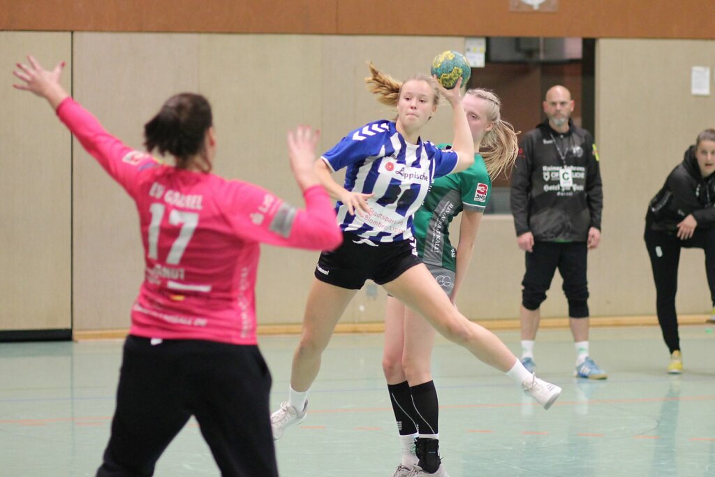 w2 BV Garrel - HSG Blomberg-Lippe