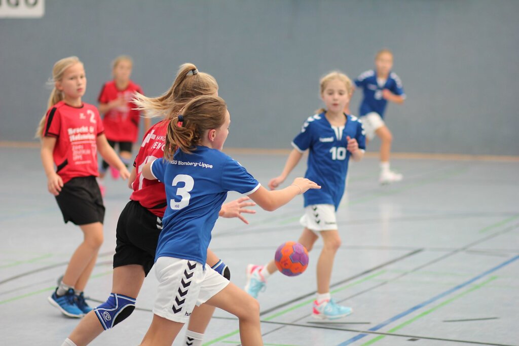 wE1 HSG Handball Lemgo - HSG Blomberg-Lippe