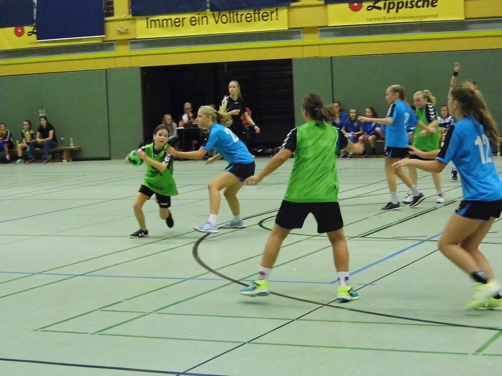 wD2 HSG Blomberg-Lippe - Handball Bad Salzuflen