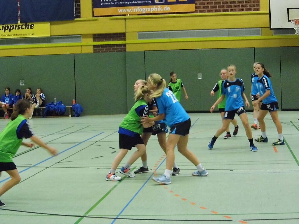 wD2 HSG Blomberg-Lippe - Handball Bad Salzuflen