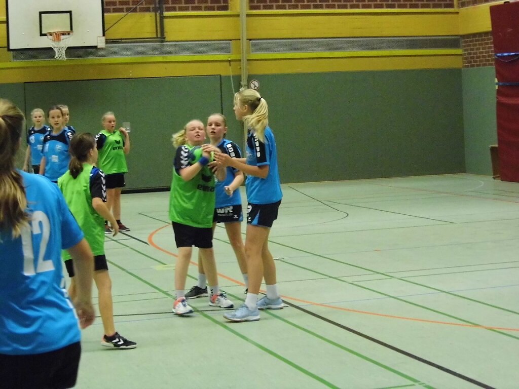 wD2 HSG Blomberg-Lippe - Handball Bad Salzuflen