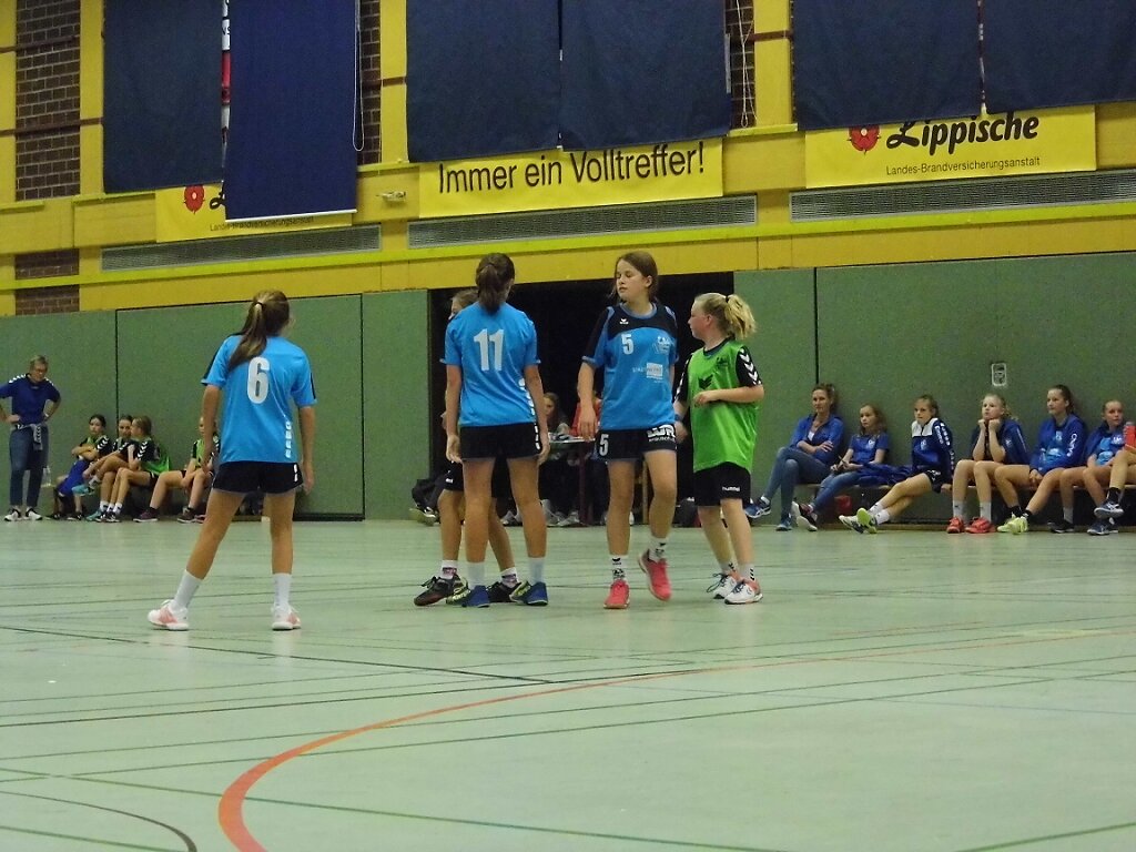 wD2 HSG Blomberg-Lippe - Handball Bad Salzuflen