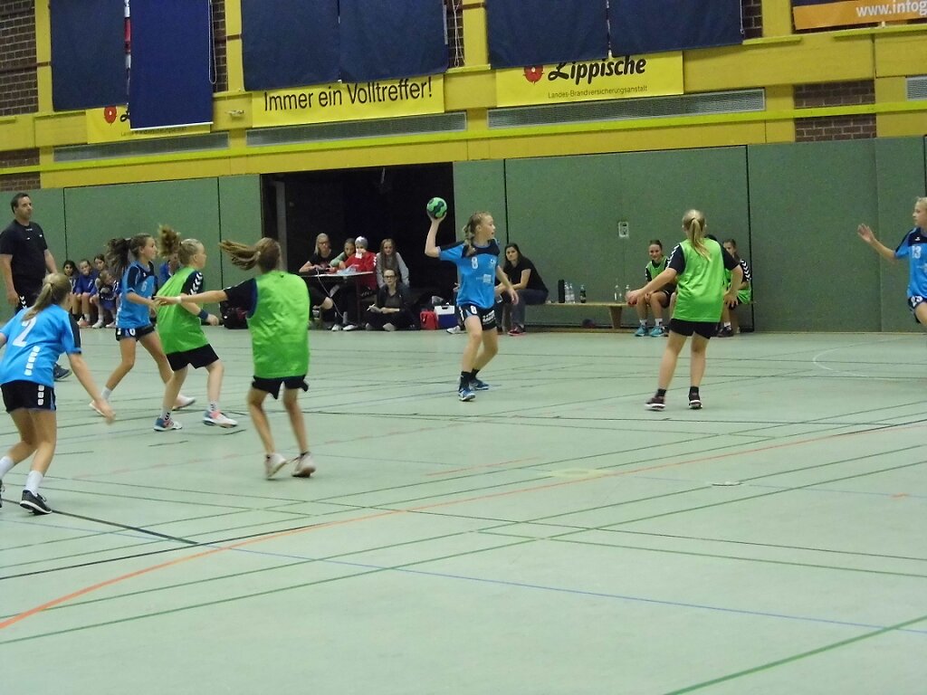 wD2 HSG Blomberg-Lippe - Handball Bad Salzuflen