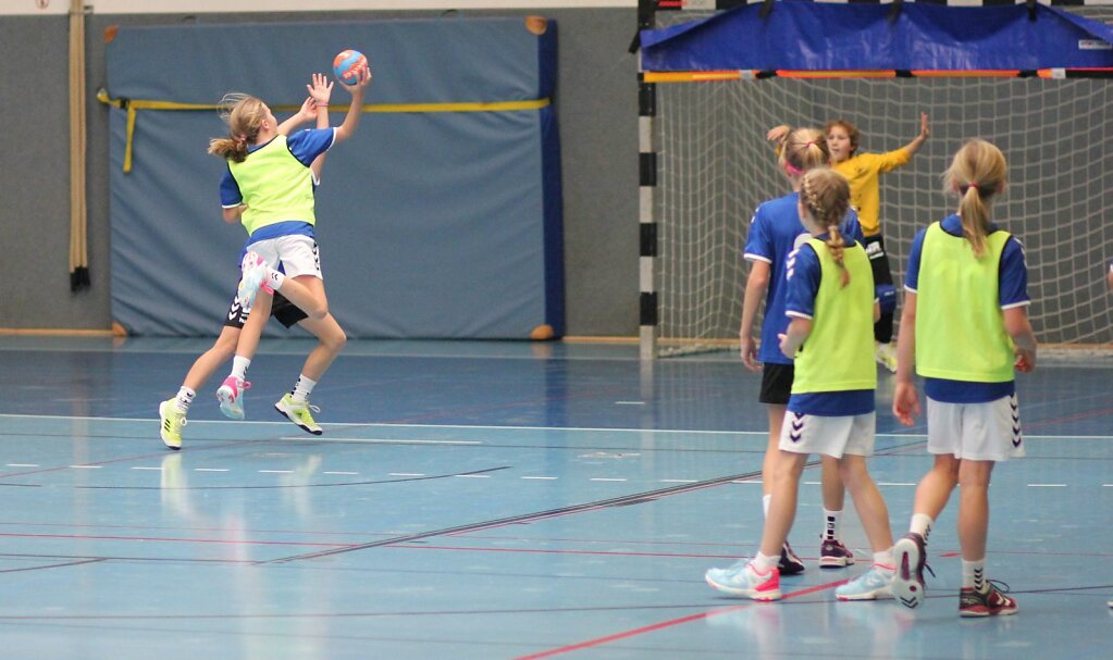 wE2 HSG Blomberg-Lippe - Handball Bad Salzuflen 1