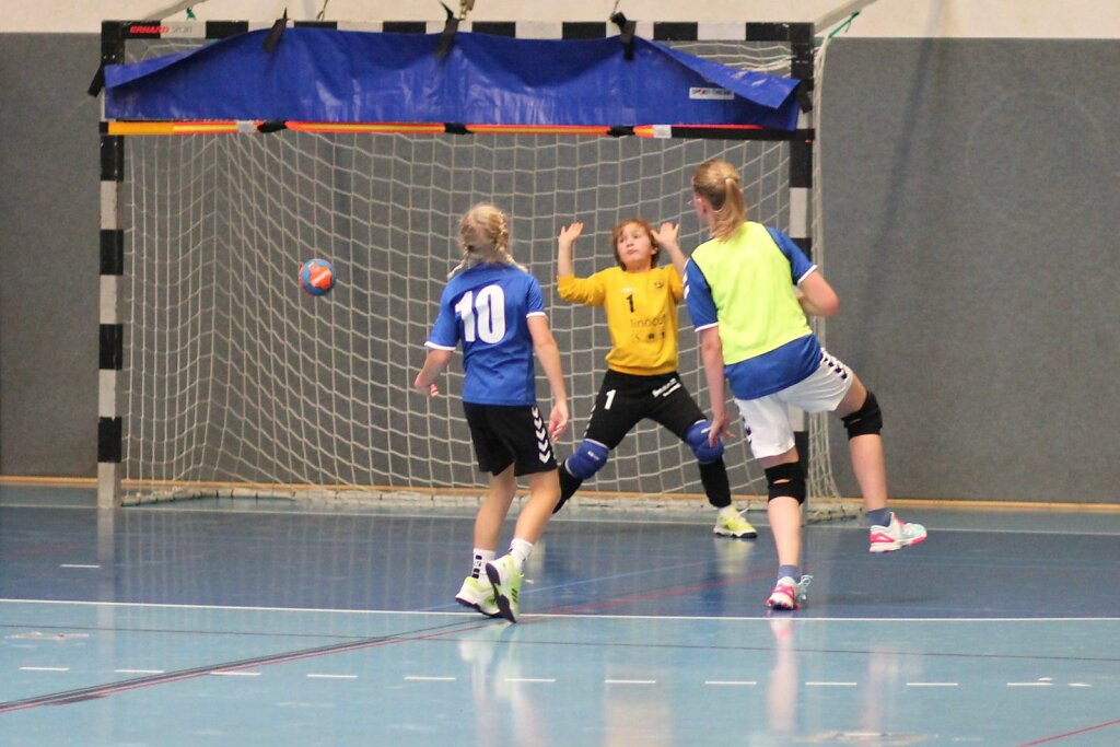 wE2 HSG Blomberg-Lippe - Handball Bad Salzuflen 1