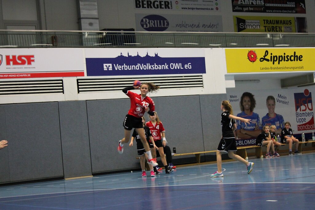 wD1 HSG Blomberg-Lippe - TSV Oerlinghausen