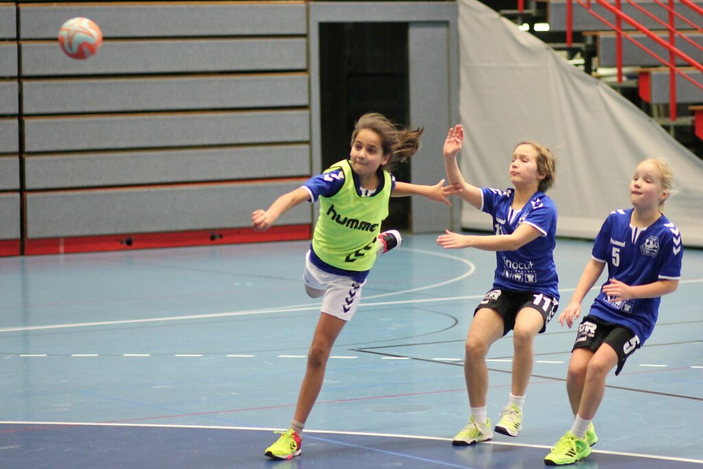 wE1 HSG Blomberg-Lippe - Handball Bad Salzuflen