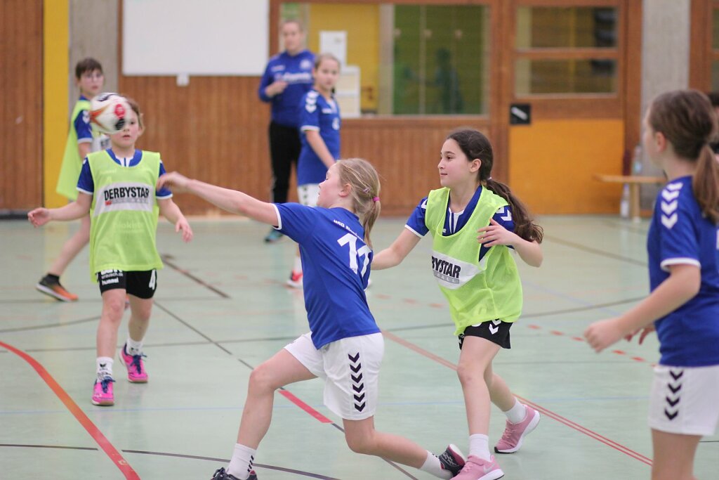 wE1 Handball Bad Salzuflen II - HSG Blomberg-Lippe