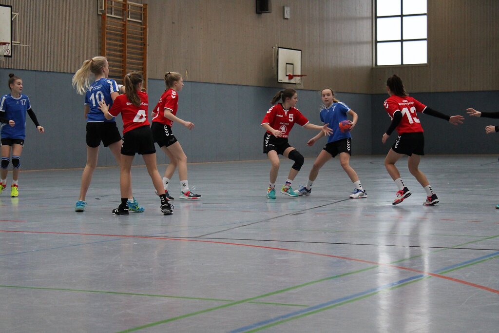 Handball Lemgo - wD1 HSG Blomberg-Lippe