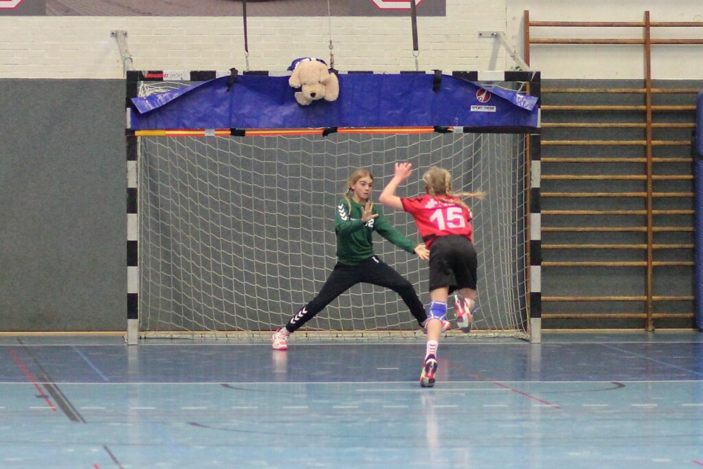 wE1 HSG Blomberg-Lippe - HSG Handball Lemgo