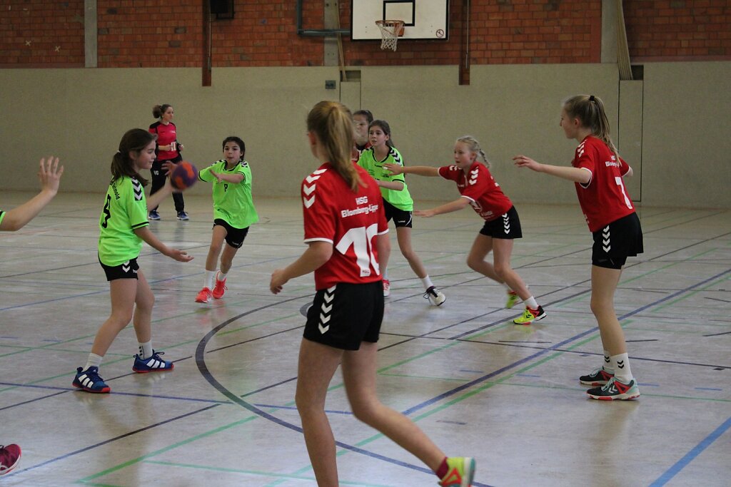 Handball Detmold - wD1 HSG Blomberg-Lippe