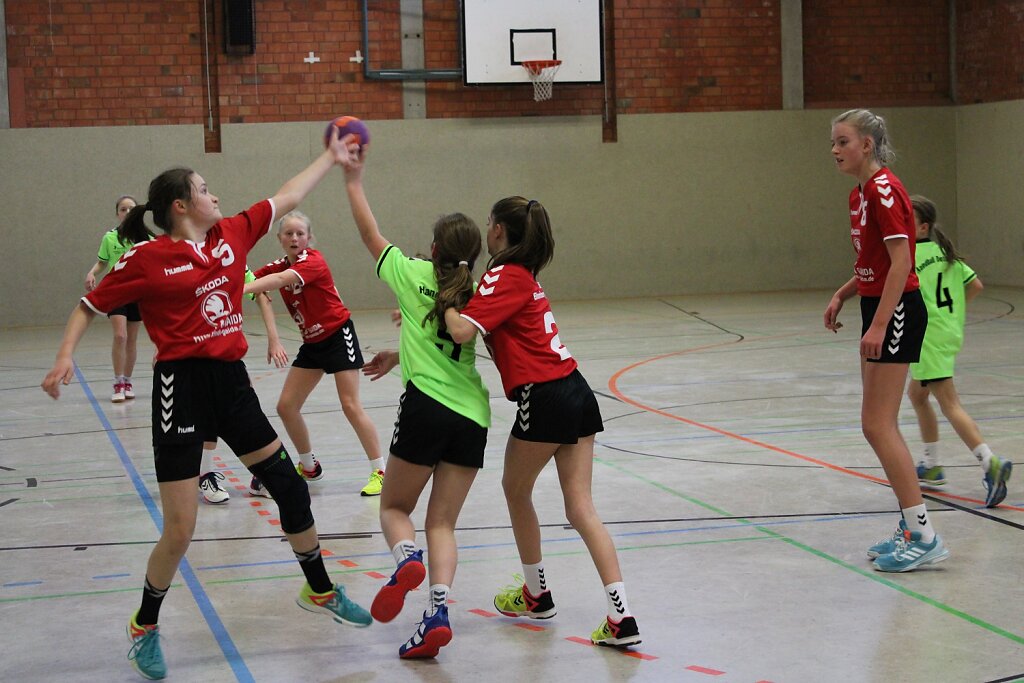 Handball Detmold - wD1 HSG Blomberg-Lippe