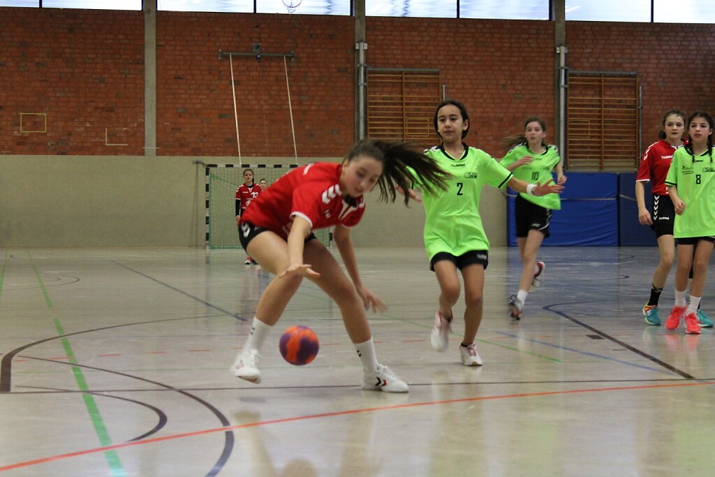 Handball Detmold - wD1 HSG Blomberg-Lippe