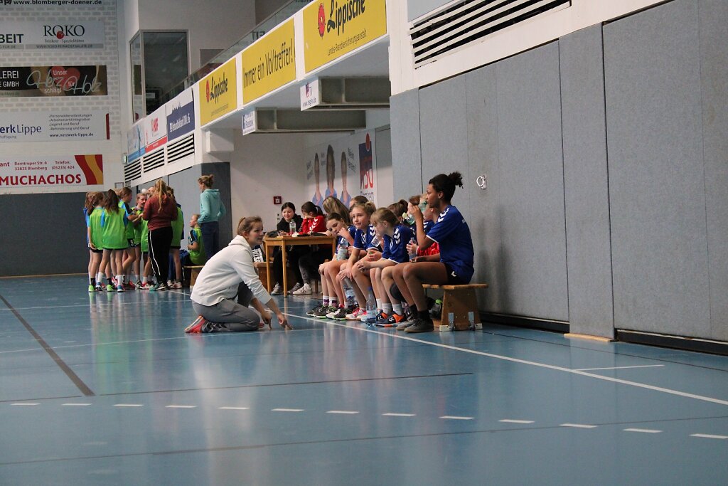 wD3 HSG Blomberg-Lippe - Handball Bad Salzuflen