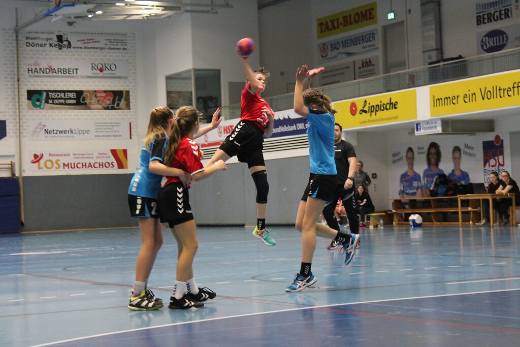 wD1 HSG Blomberg-Lippe - Handball Bad Salzuflen